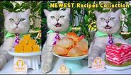 Chef Cat's Newest Yummy Recipes, Let’s Check It Out! | Cat Cooking Food | Cute And Funny Cat