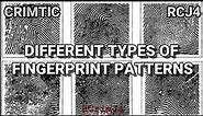 CRIMINALISTICS / DIFFERENT TYPES OF FINGERPRINT PATTERN