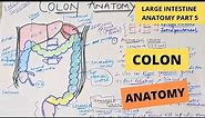 COLON ANATOMY | Large intestine anatomy part 5 | Suyash shukla