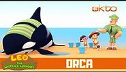 Leo Needs To Keep The Orca Alive! | Leo the Wildlife Ranger | Cartoons For Kids | @Mediacorp okto