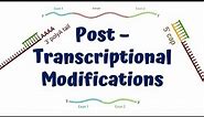 Post Transcriptional Modifications || mRNA processing || 5' Capping || Poly A Tail || Splicing