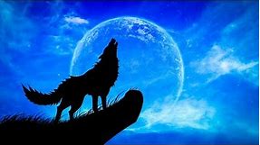 Worldwide Howl at the Moon Night | Wolves Howling at the Moon