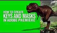 Chroma Keying and Masking in Adobe Premiere (GREEN SCREEN EFFECTS)