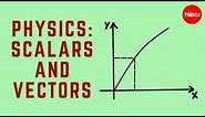 Gridiron physics: Scalars and vectors - Michelle Buchanan