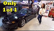 The ONLY 2003 SALEEN TERMINATOR COBRA SPEEDSTER BLACK MUSTANG ON THE PLANET