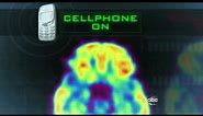 Cell Phones Mysterious Effects on the Brain 2/22/2011