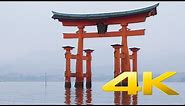 Miyajima Great Torii - 宮島大鳥居 - 4K Ultra HD