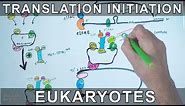 Translation Initiation in Eukaryotes