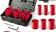Bi-Metal Hole Saw Kit, HYCHIKA 17 Pcs High Speed Steel 3/4" to 2-1/2" Hole Saw Set in Case with Mandrels, Hole Saw Bit, Hole Saw for Thin Metal, Hard Wood, Drilling PVC Board, and Plastic Plate