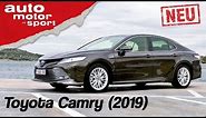 Toyota Camry Hybrid (2019): Gelungenes Comeback? - Fahrbericht/Review | auto motor & sport