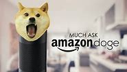 Introducing Amazon Doge