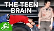 How Teenagers' Brains Are Actually Wired Differently