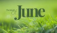 100 June Quotes to Welcome the Start of Summer