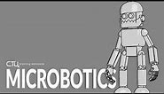 CTU - Microbotics 2019