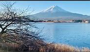 Mt. Fuji Day Tour - Lake Kawaguchi to 5th Station - Best Spot Mt. Fuji