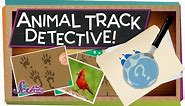 Animal Track Detective! | Science for Kids