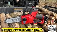 Milwaukee M12 Fuel Hatchet : Battery Powered Chainsaw Review