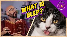 What is Blep? | Cat Daddy Dictionary