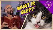 What is Blep? | Cat Daddy Dictionary