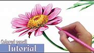 How to draw and shade a FLOWER in Colored Pencil