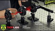 Create Circularly Polarized Light Using a Quarter-Wave Plate (QWP) | Thorlabs Insights