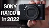 Why I bought the SONY RX100 mark III