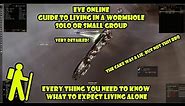 Eve Online - Guide Living in a Wormhole solo/small group