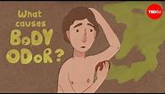 What causes body odor? - Mel Rosenberg
