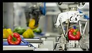 Robot-assisted packaging: 30% more productivity