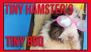 Ep. 8 - Tiny Hamster's Tiny BBQ at 4th July - Tiny BBQ Feast