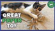 Paper quick DIY cat toys 5 minute crafts