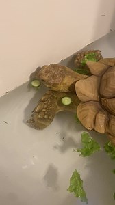 315K views · 10K reactions | Good Morning Friends! 珞 I think everyone...