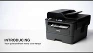 Brother UK - L2000 Mono laser printer – MFC-L2710DW