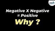 Why is Negative times Negative a Positive? | One Minute Bites | Don't Memorise
