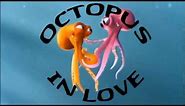 Octopus in Love