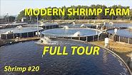 SUPER-INTENSIVE MODERN SHRIMP FARM - FULL TOUR #20 | #FISH