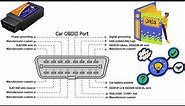 OBD-II Connector Pinout