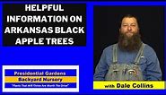 ARKANSAS BLACK APPLE TREES Helpful Information with Dale Collins