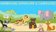 Herbivores | Carnivores | Omnivores | Types of Animals