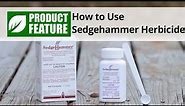 How to Use Sedgehammer | DoMyOwn.com