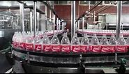 Coca-Cola, de principio a fin