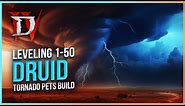 Diablo 4 Druid Tornado with Pets Leveling Guide