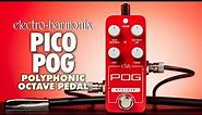 Electro-Harmonix PICO POG Polyphonic Octave (EHX Demo by BILL RUPPERT)