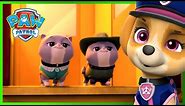 Ultimate Rescue PAW Patrol Saves the Royal Kitties and More! | PAW Patrol | Cartoons for Kids