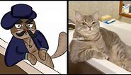 Angry boss cat meme 😄 new cat memes 😄 2024 funny animals memes