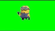 Minions - Despicable Me - Green Screen 02 (1080p HD)