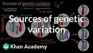 Sources of genetic variation | Inheritance and variation | High school biology | Khan Academy