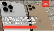 Tips Memilih Warna iphone 12 Pro & Pro Max