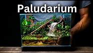I Made a Paludarium With a Working Waterfall, Here’s How!