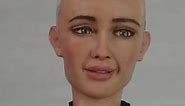 We interviewed Sophia the robot, the world’s most famous humanoid. Full interview: https://www.freethink.com/robots-ai/sophia-the-robot-interview | Freethink